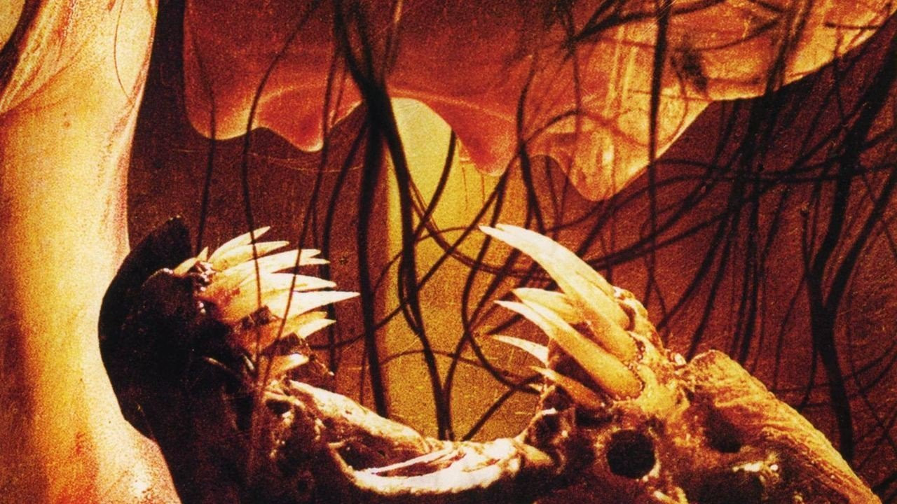 Feast Collection background